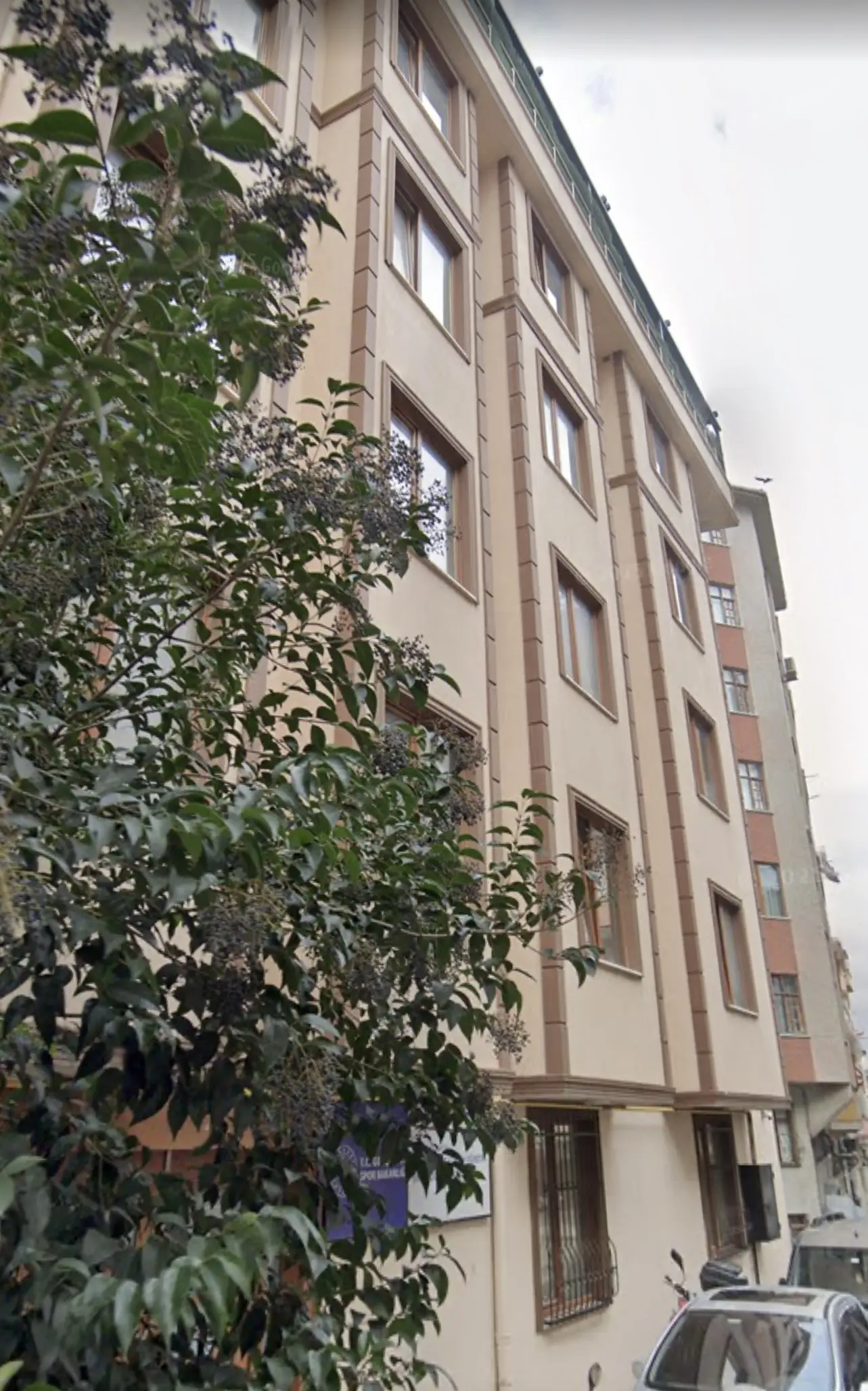 Fatih Yurt dış görünüm